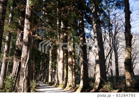 【長野県】　戸隠神社　奥社 85284793