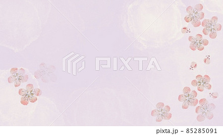 梅の花和風イメージ(背景画像) 梅の花和風イメージ(背景画像) 85285091