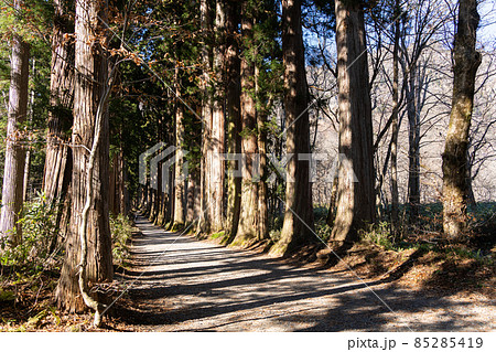 【長野県】　戸隠神社　奥社 85285419