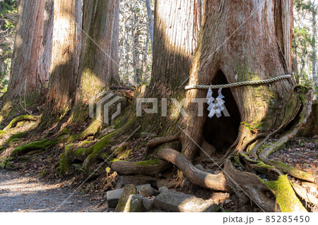 【長野県】 戸隠神社 奥社 【長野県】 戸隠神社 奥社 85285450