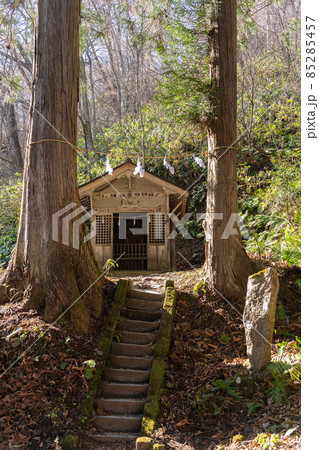 【長野県】 戸隠神社 奥社 【長野県】 戸隠神社 奥社 85285457