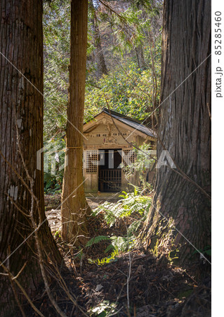 【長野県】 戸隠神社 奥社 【長野県】 戸隠神社 奥社 85285460