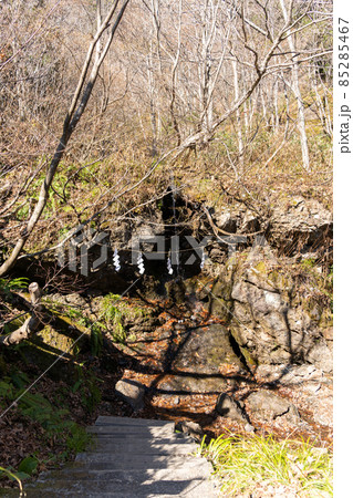 【長野県】 戸隠神社 奥社 【長野県】 戸隠神社 奥社 85285467