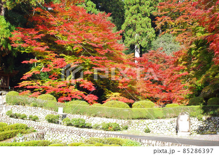 安芸太田町吉水園の紅葉の景色 安芸太田町吉水園の紅葉の景色 85286397
