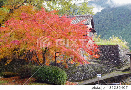 安芸太田町加計の吉水園の紅葉の景色 85286407