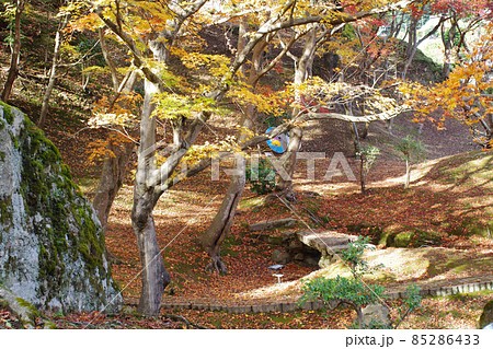尾関山公園の紅葉の景色 尾関山公園の紅葉の景色 85286433
