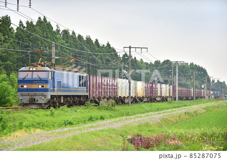 信越本線 東光寺-帯織 JR貨物 EF510-512(富山) 信越本線 東光寺-帯織 JR貨物 EF510-512(富山) 85287075