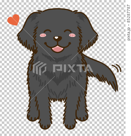 Natsuki 平毛獵犬 Natsuki 平毛獵犬 85287787