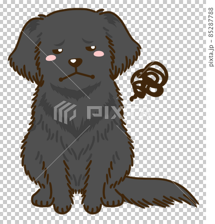 不滿意的平毛獵犬 不滿意的平毛獵犬 85287788