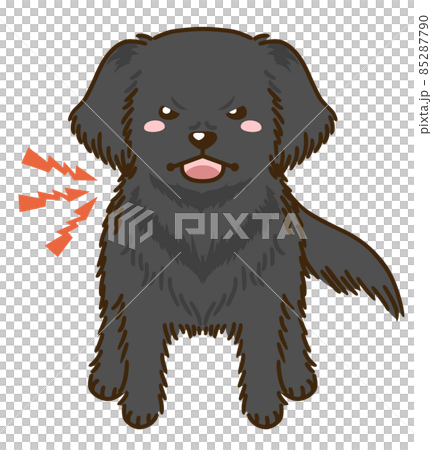 來勢洶洶的平毛獵犬 來勢洶洶的平毛獵犬 85287790