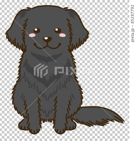 平塗的獵犬 平塗的獵犬 85287792