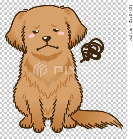 不滿意的金毛獵犬 85287801