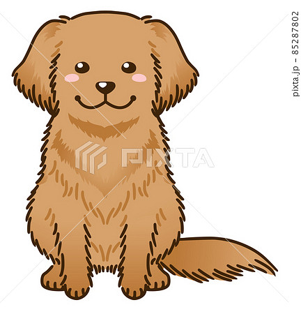 ゴールデンレトリバー ゴールデンレトリバー 85287802