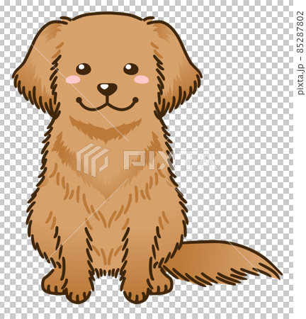 ゴールデンレトリバー ゴールデンレトリバー 85287802