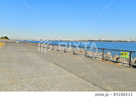若洲海浜公園より荒川河口橋、葛西臨海公園方面を望む(東京都江東区)【2021.12】 85288313
