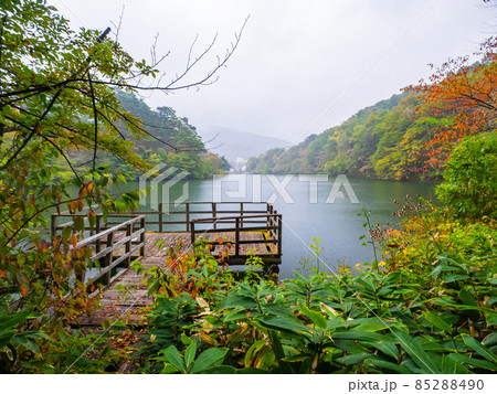 初秋の雨の降る湖 (山形県、蔵王温泉、盃湖) 85288490