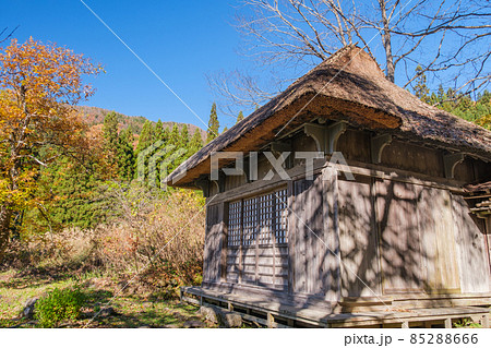 阿弥陀堂の黄葉 阿弥陀堂の黄葉 85288666