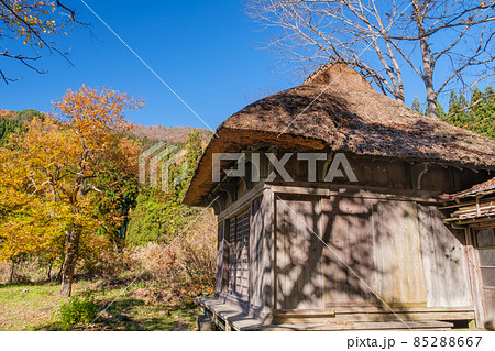 阿弥陀堂の茅葺屋根 85288667