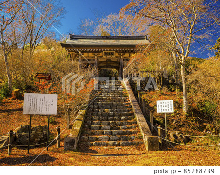 【埼玉】秋の鳥居観音 紅葉巡り 【埼玉】秋の鳥居観音 紅葉巡り 85288739