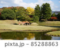 秋の旧大乗院庭園　のどかな午後の風景 85288863