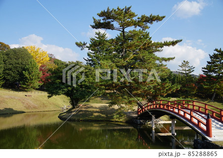 秋の旧大乗院庭園　のどかな午後の風景 85288865
