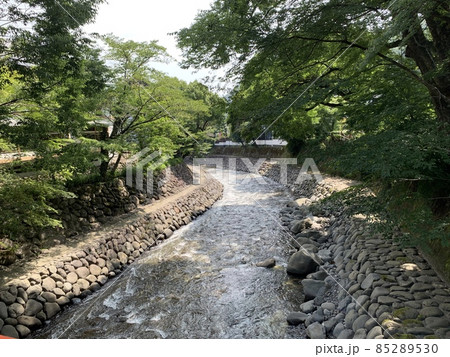 修善寺にある竹林の小径（桂川） 85289530