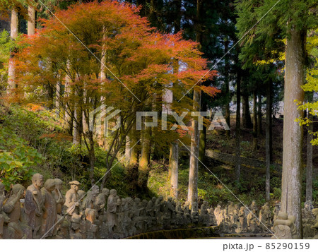四国霊場第66番札所「雲辺寺」の紅葉 四国霊場第66番札所「雲辺寺」の紅葉 85290159