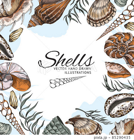 Seashells hand drawn banner with copy space for text in the middle, colored sketch vector illustration. 85290435