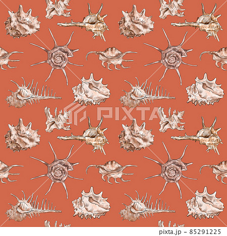 Watercolor digital illustration seamless pattern of seashells from brown marine life on a orange Watercolor digital illustration seamless pattern of seashells from brown marine life on a orange 85291225