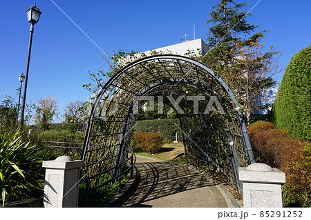 ブラフ99ガーデンの奥に横浜地方気象台（横浜市中区山手町 山手本通り） 85291252