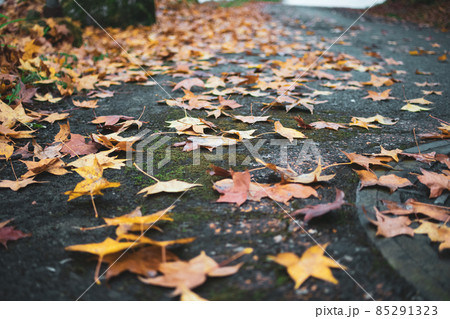 カジュアル 無造作 無頓着 85291323