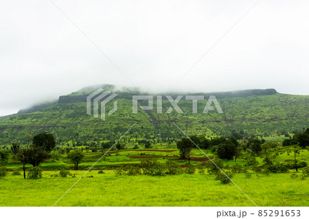View of hill in foggy weather, Tringalwadi, Nashik, Maharashtra, India. View of hill in foggy weather, Tringalwadi, Nashik, Maharashtra, India. 85291653