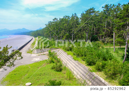 大里松原海岸 大里松原海岸 85292962