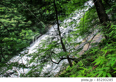 湯滝 湯滝 85293285