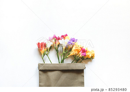 Multicolored freesia flowers and a sprig of cherry blossom in a canvas bag on a white background Multicolored freesia flowers and a sprig of cherry blossom in a canvas bag on a white background 85293480