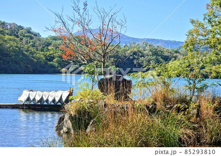 秋色の一碧湖 伊豆の瞳 秋 青い瞳 錦秋 秋色の一碧湖 伊豆の瞳 秋 青い瞳 錦秋 85293810