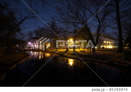 池越しのライトアップされた旧・岡山偕行社とジップアリーナ岡山　岡山県岡山市北区 85293974