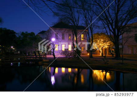 池越しのライトアップされた岡山県総合グラウンドクラブ（旧・岡山偕行社）2　岡山県岡山市北区 85293977