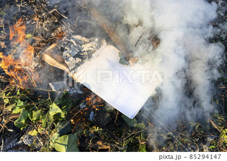burning book in fire on pile of trimmed branches 85294147