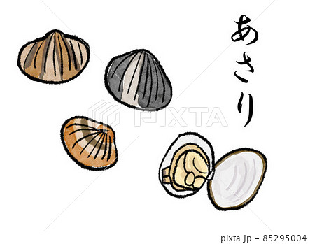 あさり　イラスト 85295004