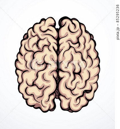 Brain. Vector drawing icon sign Brain. Vector drawing icon sign 85295236
