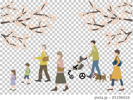Illustration of a three-generation family walking with a pet against the backdrop of cherry blossoms (in the image of cherry blossom viewing and homecoming) Illustration of a three-generation family walking with a pet against the backdrop of cherry blossoms (in the image of cherry blossom viewing and homecoming) 85296026