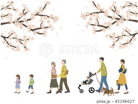 桜を背景に ペットを連れた3世代家族が歩いているイラスト 花見 帰省イメージに のイラスト素材