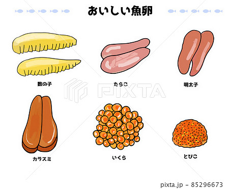 魚の卵　イラストセット 85296673