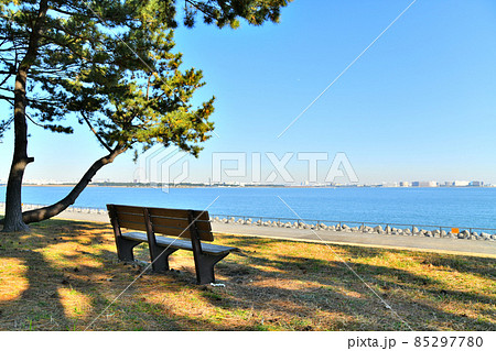 若洲海浜公園より葛西臨海公園、舞浜方面を望む(東京都江東区)【2021.12】 85297780