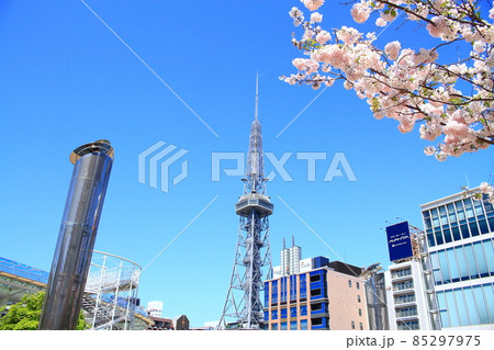 名古屋市、テレビ塔と桜の風景 85297975
