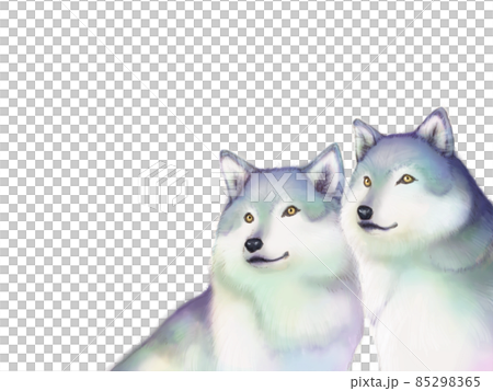 Two wolves looking side by side in the distance... - Stock Illustration ...