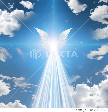 Angel winged 85298635
