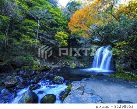 【静岡】伊豆半島 秋の河津七滝 紅葉散策 【静岡】伊豆半島 秋の河津七滝 紅葉散策 85298652