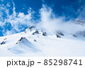 冬の千畳敷カール 85298741